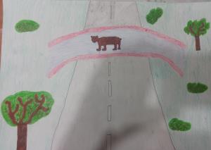 slika 2_Miha Morelj , učenec 8.r